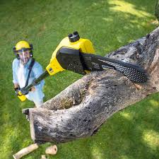 Best Lawn Renovation and Restoration  in Galena, IN