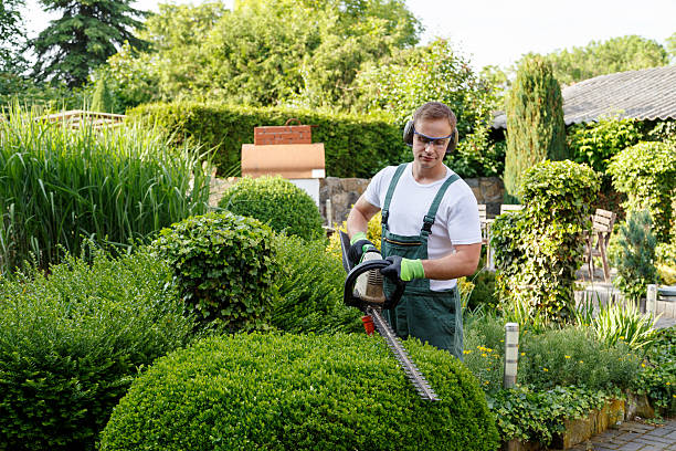 Best Emergency Tree Removal  in Galena, IN